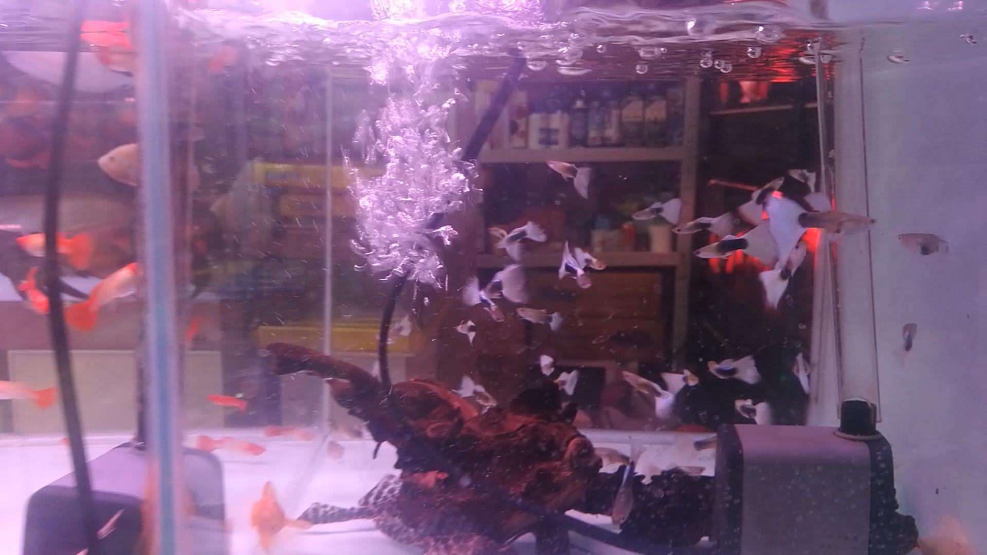 北京官园批发市场搬迁到哪里了,北京官园市场搬迁到哪里