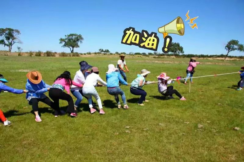 旅行去看草原美景,去草原撒欢视频