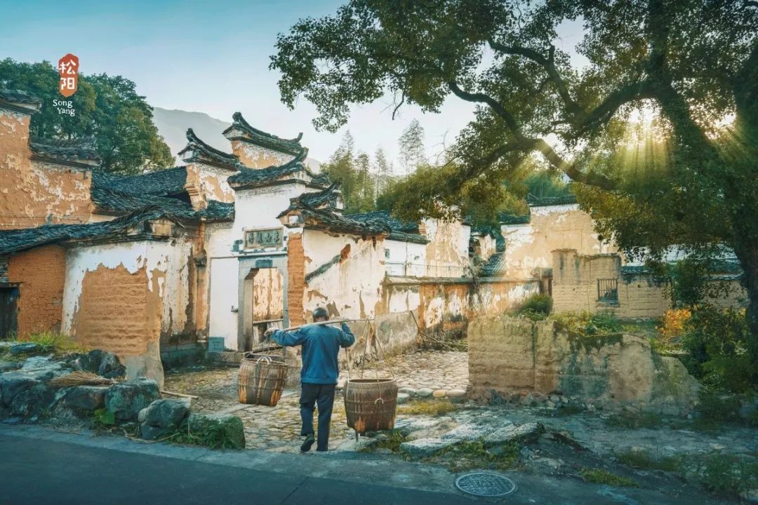 比乌镇安静比南浔古朴,藏不住了这里有最炫秋色