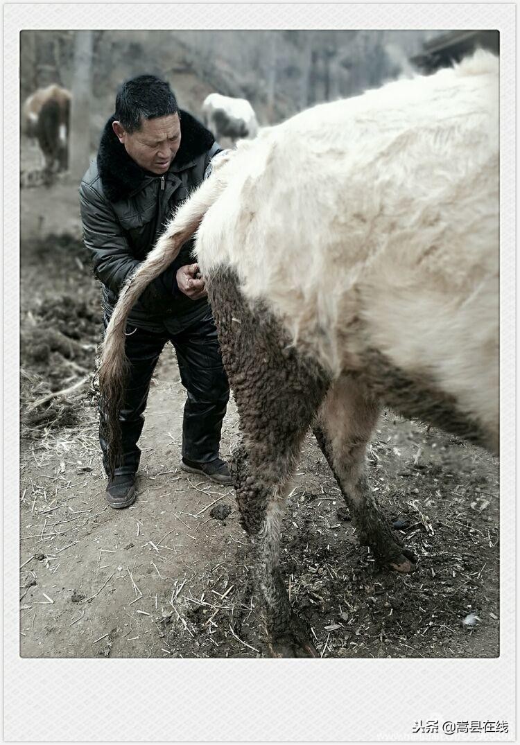 航拍闫庄镇街景,嵩县闫庄图片