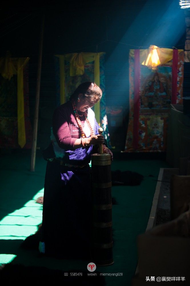 中国名马之乡,也是亚洲第一天然牧场