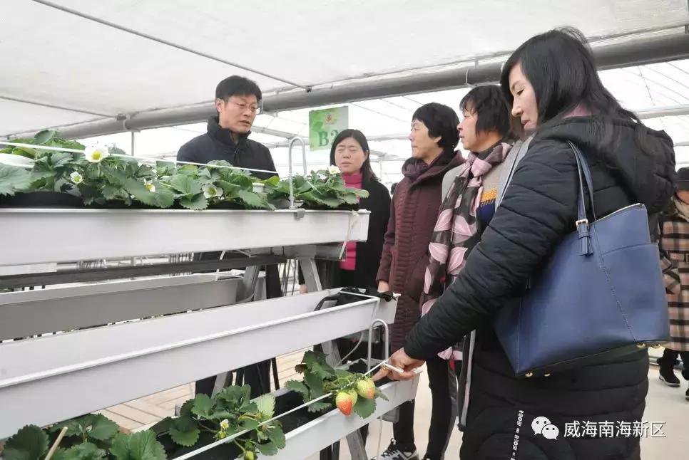 威海南海家园,威海南海新区最具幸福感城市