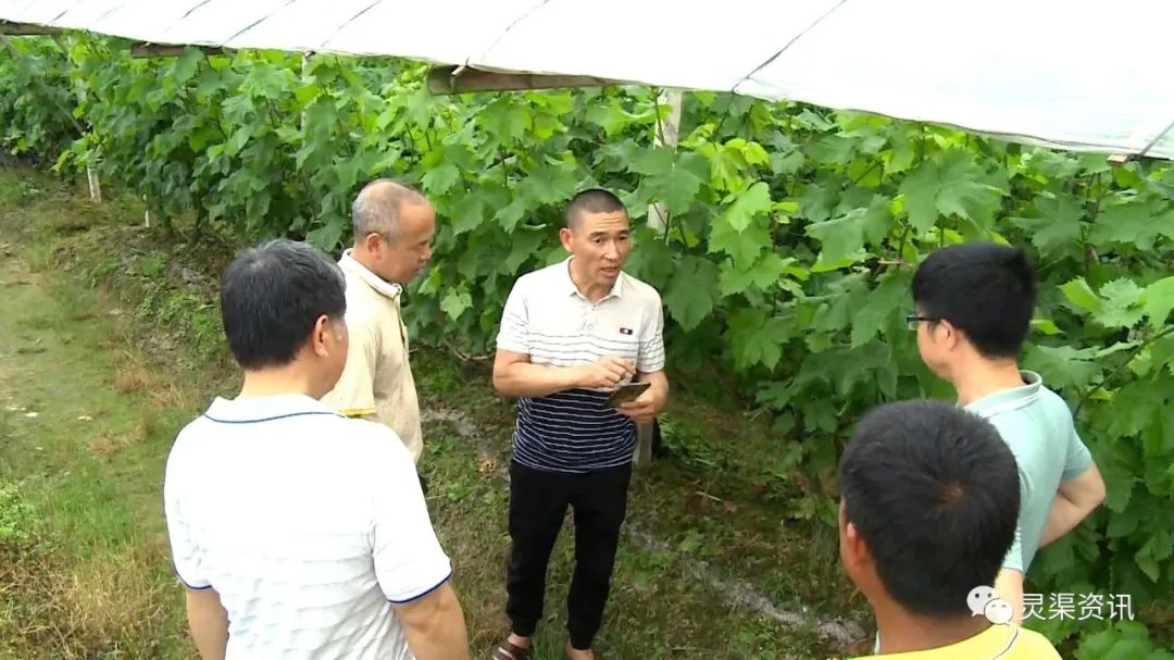 你个笨鸟，这些东西让你全部“弄死了”