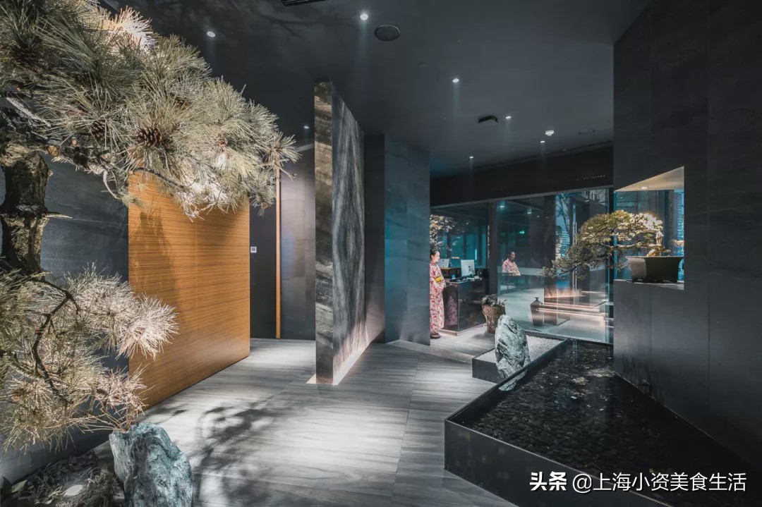 魔都薅羊毛日记,2022魔都高段位薅羊毛指南