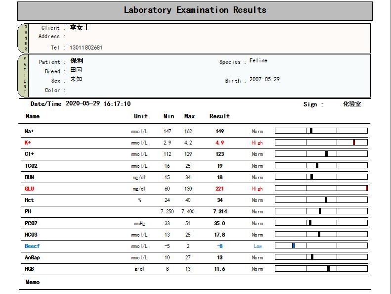 猫咪脂肪肝黄疸的真实经历,猫咪脂肪肝在家治疗方法