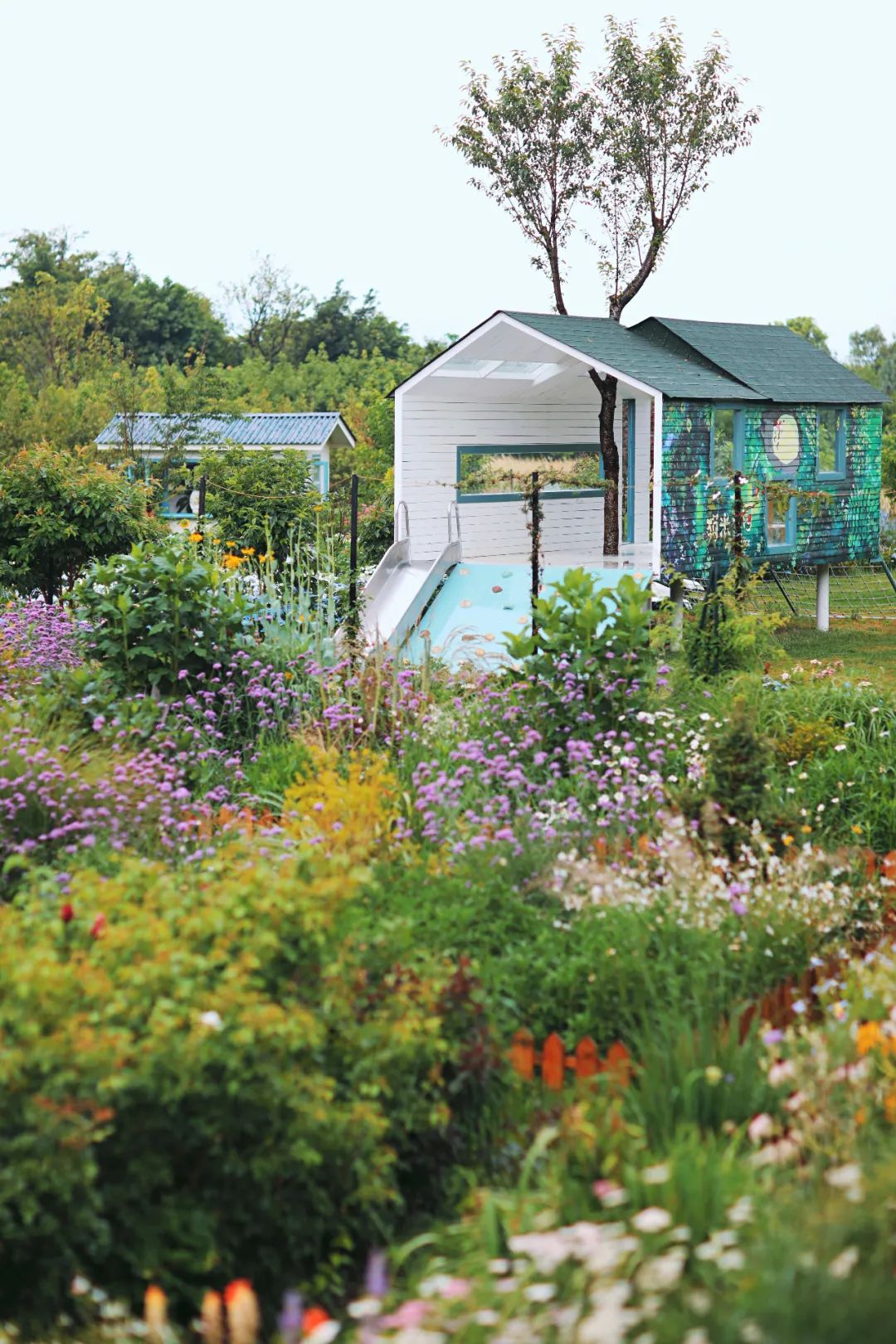 苏州旅行攻略女孩子,苏州旅游女生攻略