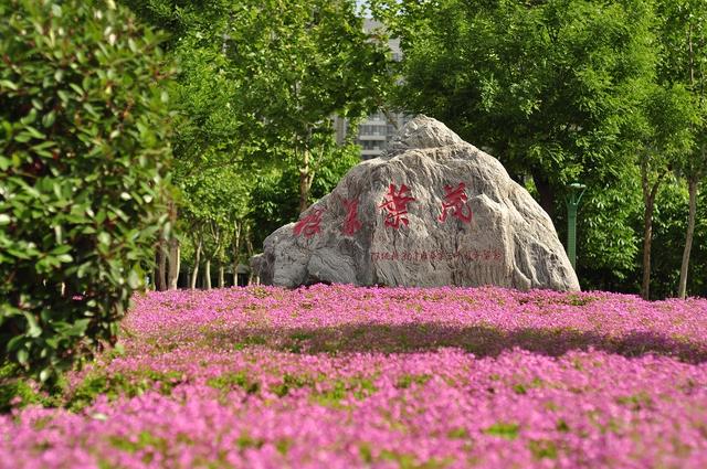 中兴通讯订单班怎么样,中兴通讯在哪些大学招的人多