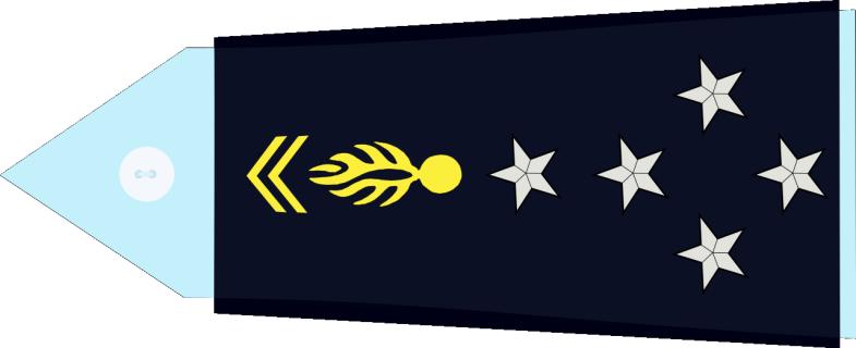 法国将军军衔等级,法国上校是什么军衔