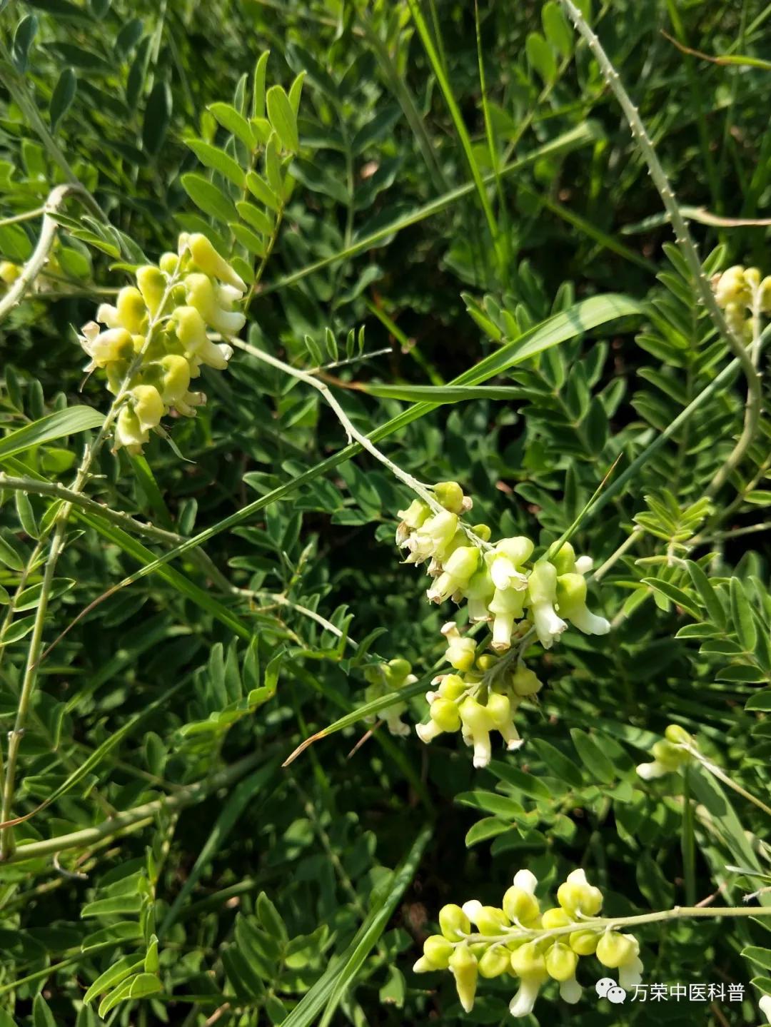 跟我回家在线免费看,跟我回家免费看