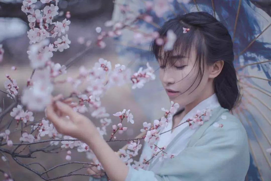 董明珠和网红带货,董明珠带货策略