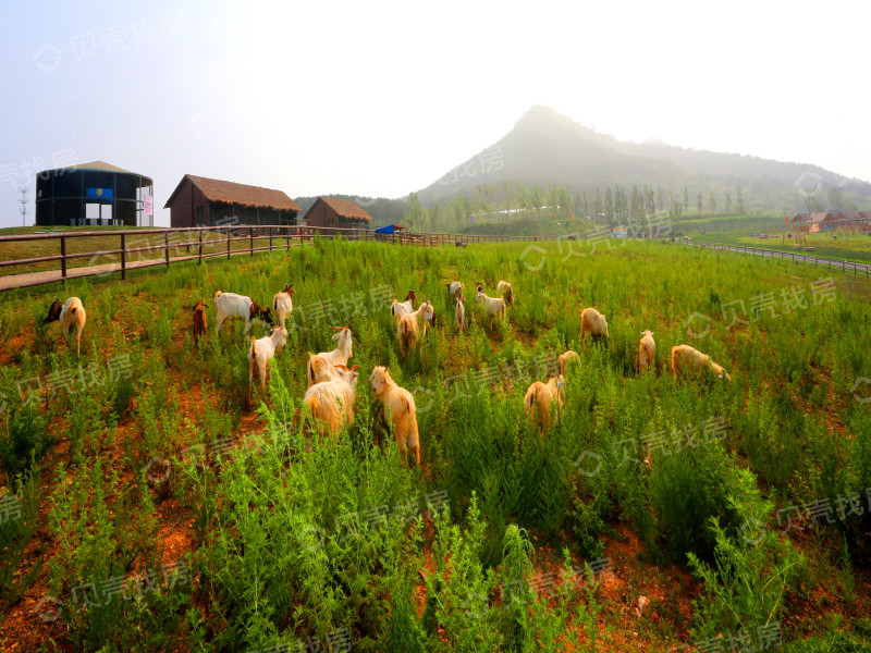 旅顺亿达云山府为什么便宜,大连亿达云山府值得买吗