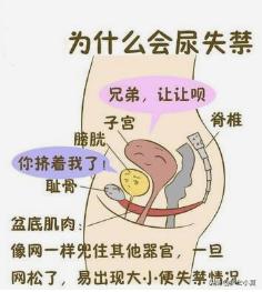 打喷嚏漏尿莫大意，盆底疾病缠住你，切勿病急乱投医，一文解难题