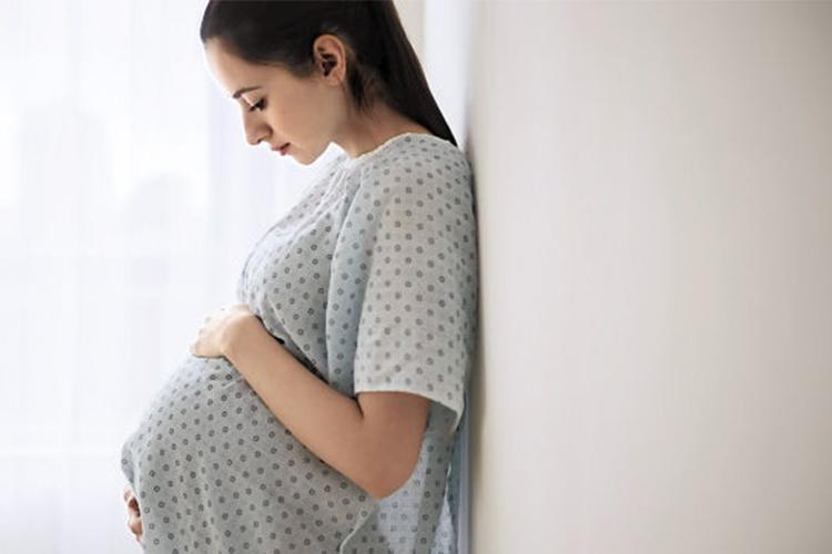 孕期能吃燕窝银耳羹吗,孕期能吃燕窝枸杞吗