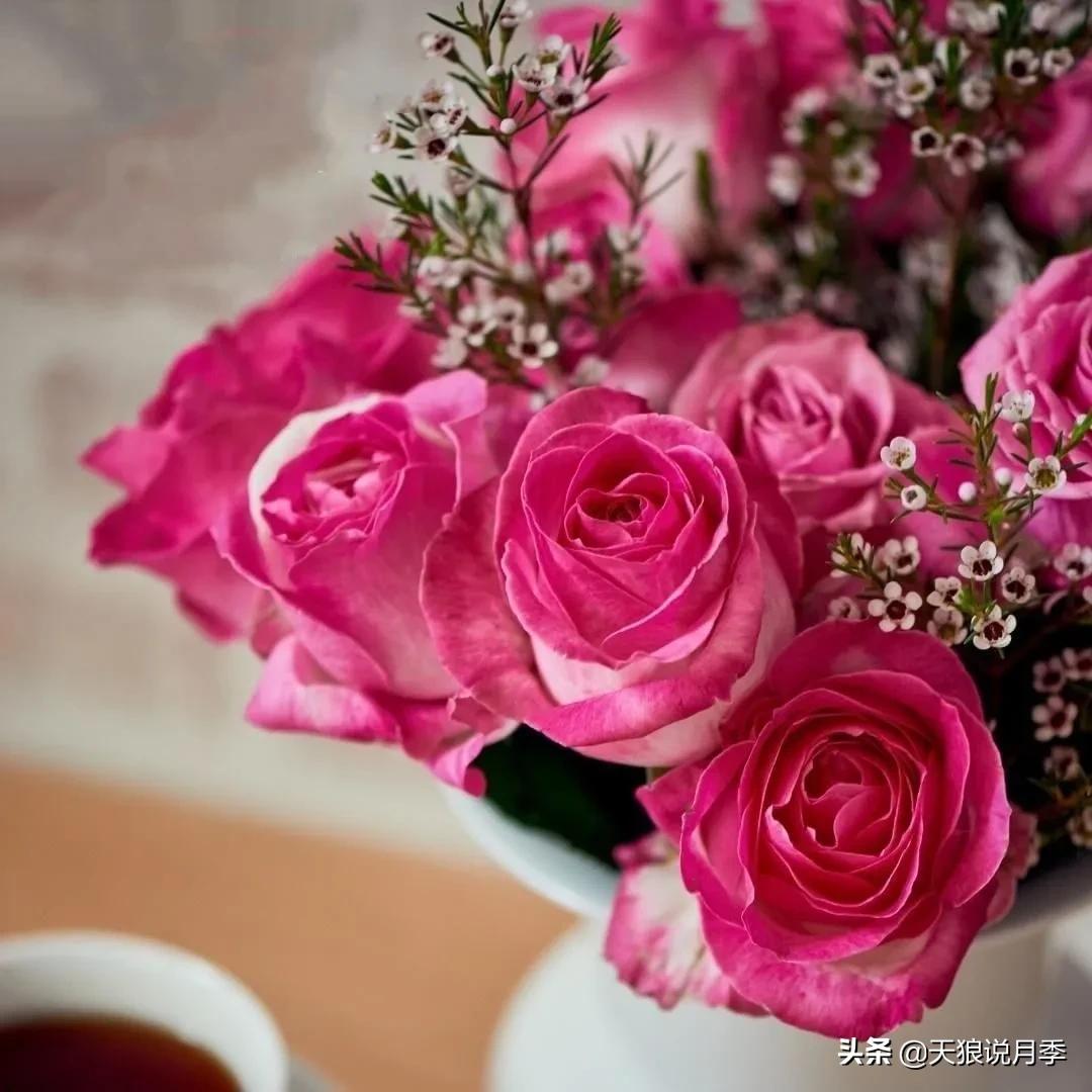 520你最想收到什么玫瑰,520这样的玫瑰你们喜欢吗