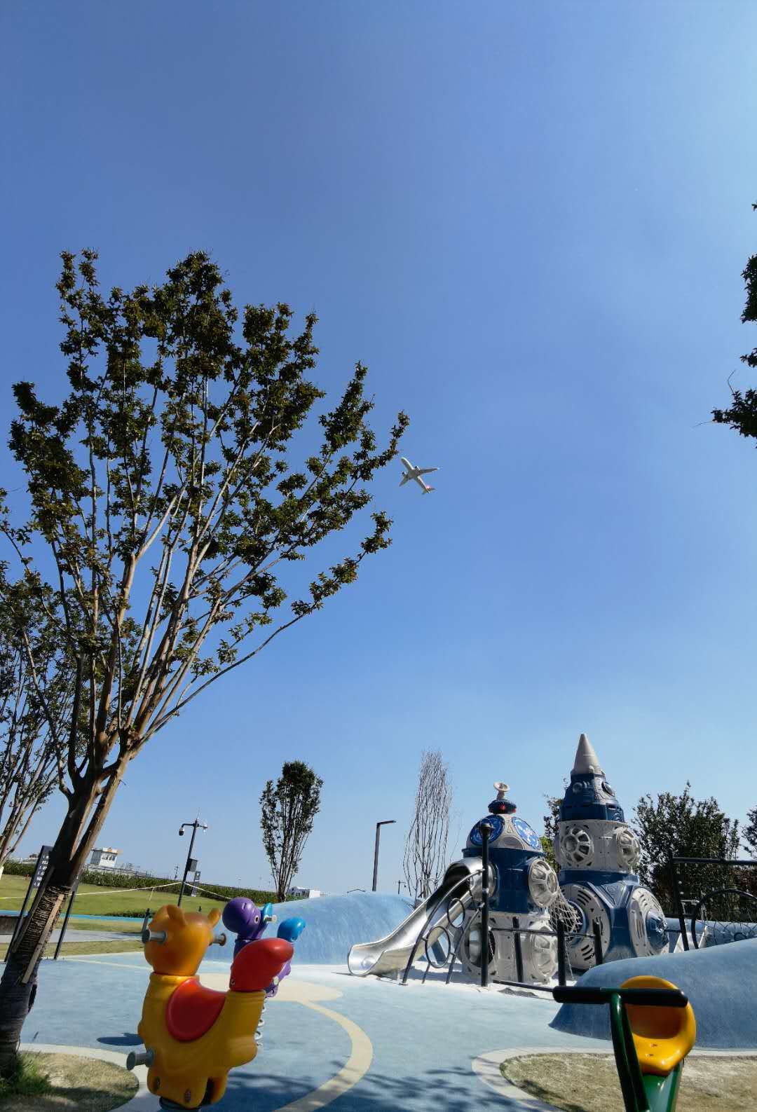 双流空港花田看飞机降落最佳地点,双流空港花田飞机场