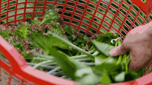 他把工作丢着，专找美景荒地吃饭：这是一天最好的时候