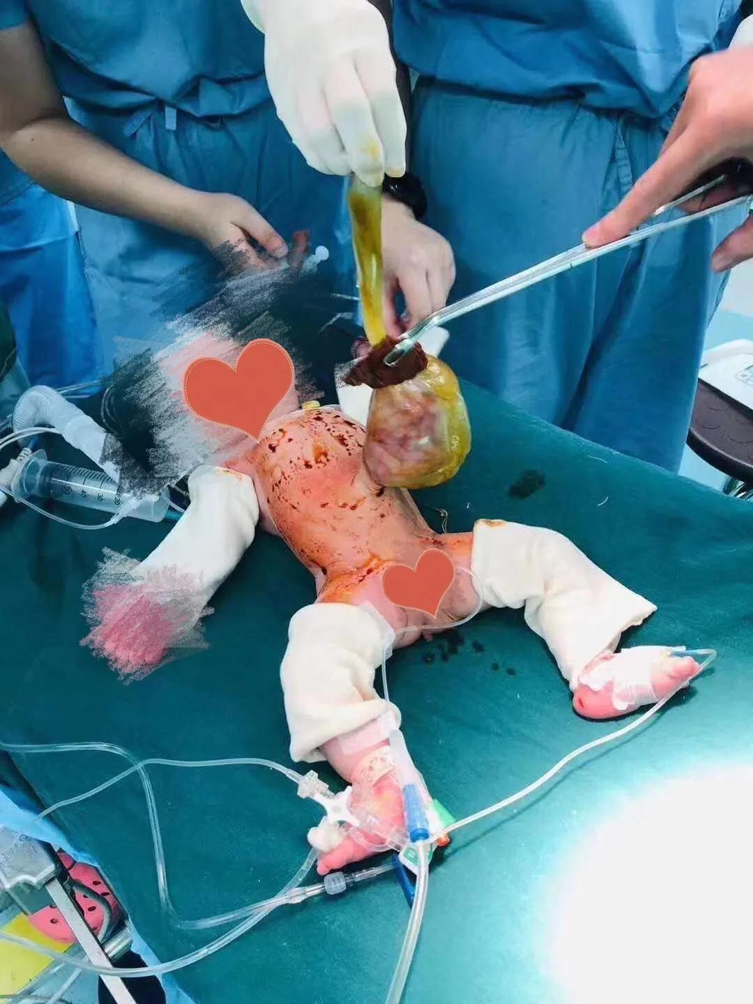 真香小说全文免费阅读,真香小说完整版