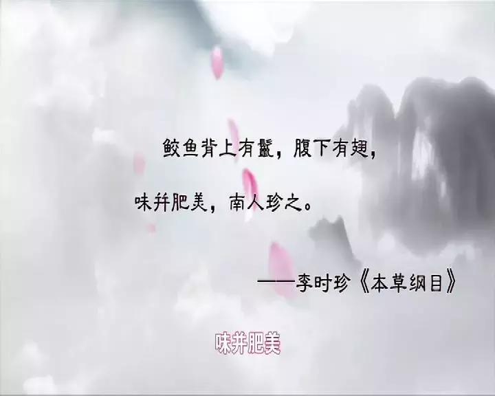 中国最好吃的鱼翅是什么,野生即食鱼翅