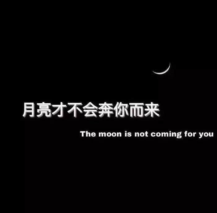 网易云热评：我以为时间是最好的偏方，原来治好的全都只是皮外伤