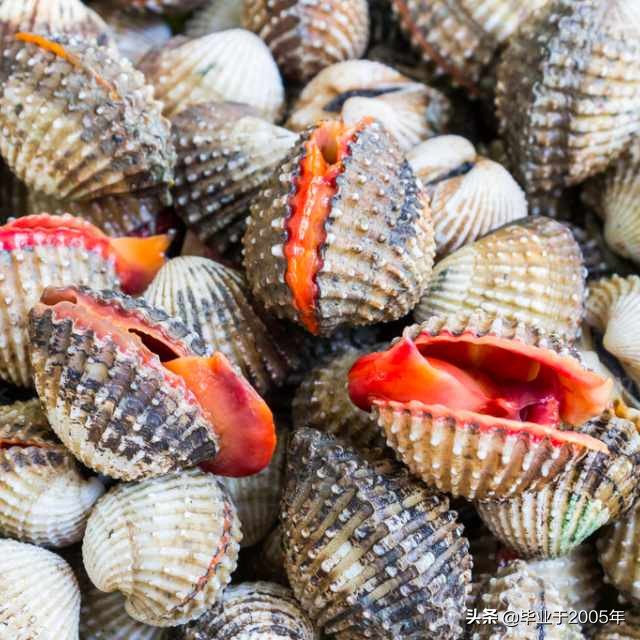 大连常见的海鲜美食都有哪些,大连海鲜吃货大全