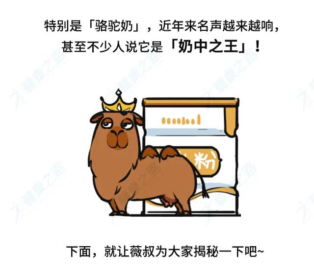骆驼奶有什么功效,骆驼奶真的有效果吗