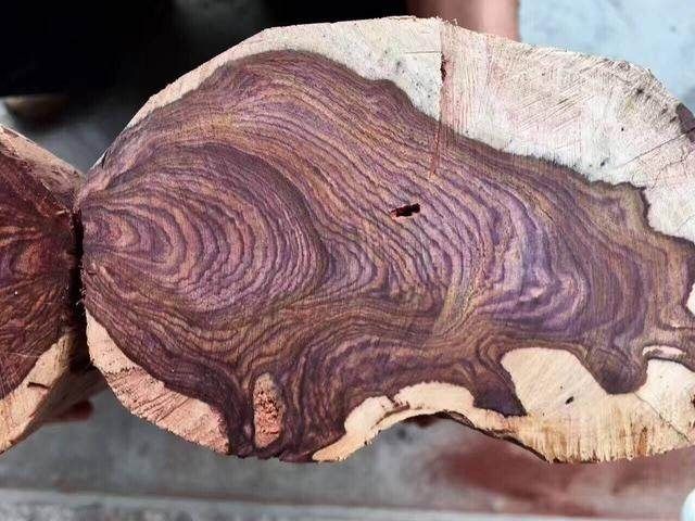 韧性强又轻便的木头做拐杖用,富豪花重金买回来了一根木拐杖