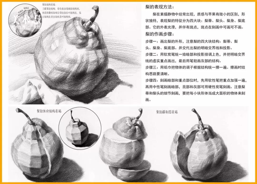 素描常见水果,适合新手的100幅素描画蔬菜水果