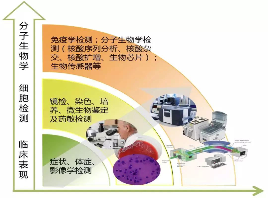 感染性疾病主要检测流程,感染性疾病筛查怎么做