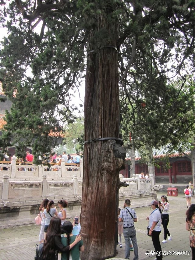 三孔孔府孔庙孔林一日游,孔府与孔庙孔林并称三孔