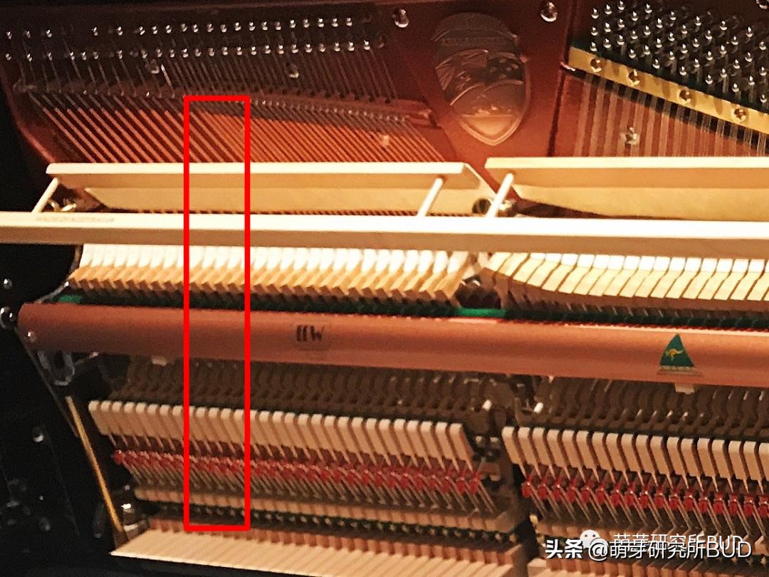 电钢琴和电子琴怎样组合,钢琴电子琴电钢琴区别