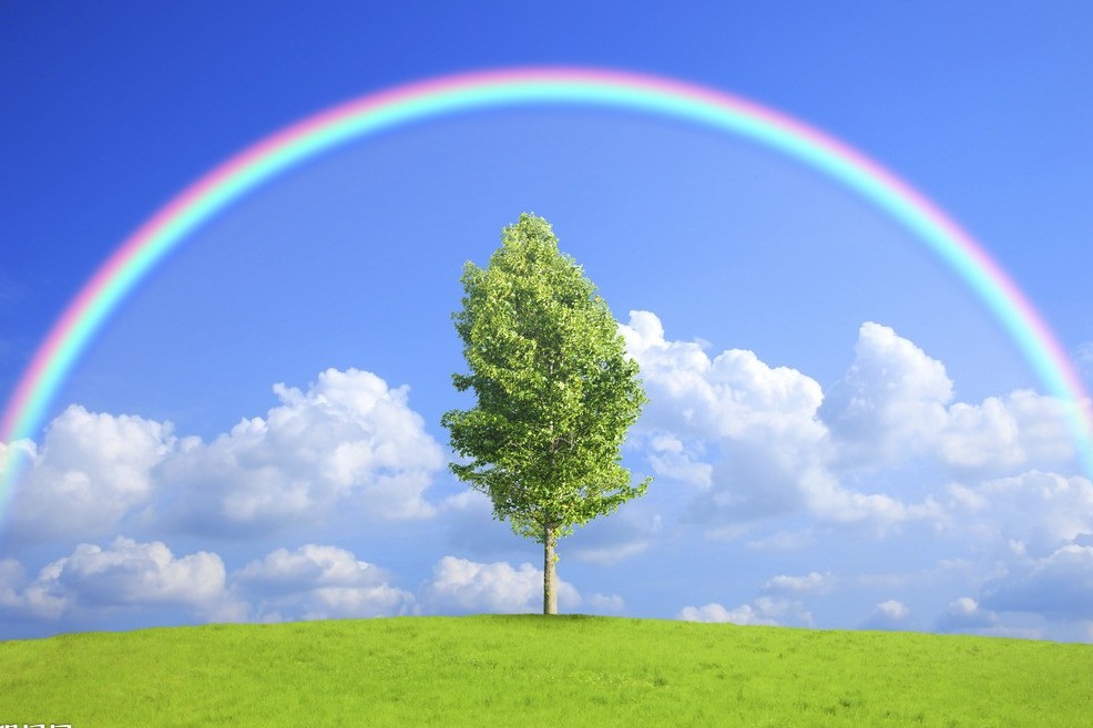 敬畏自然珍爱生命拍手舞,敬畏自然珍爱生命倡议书