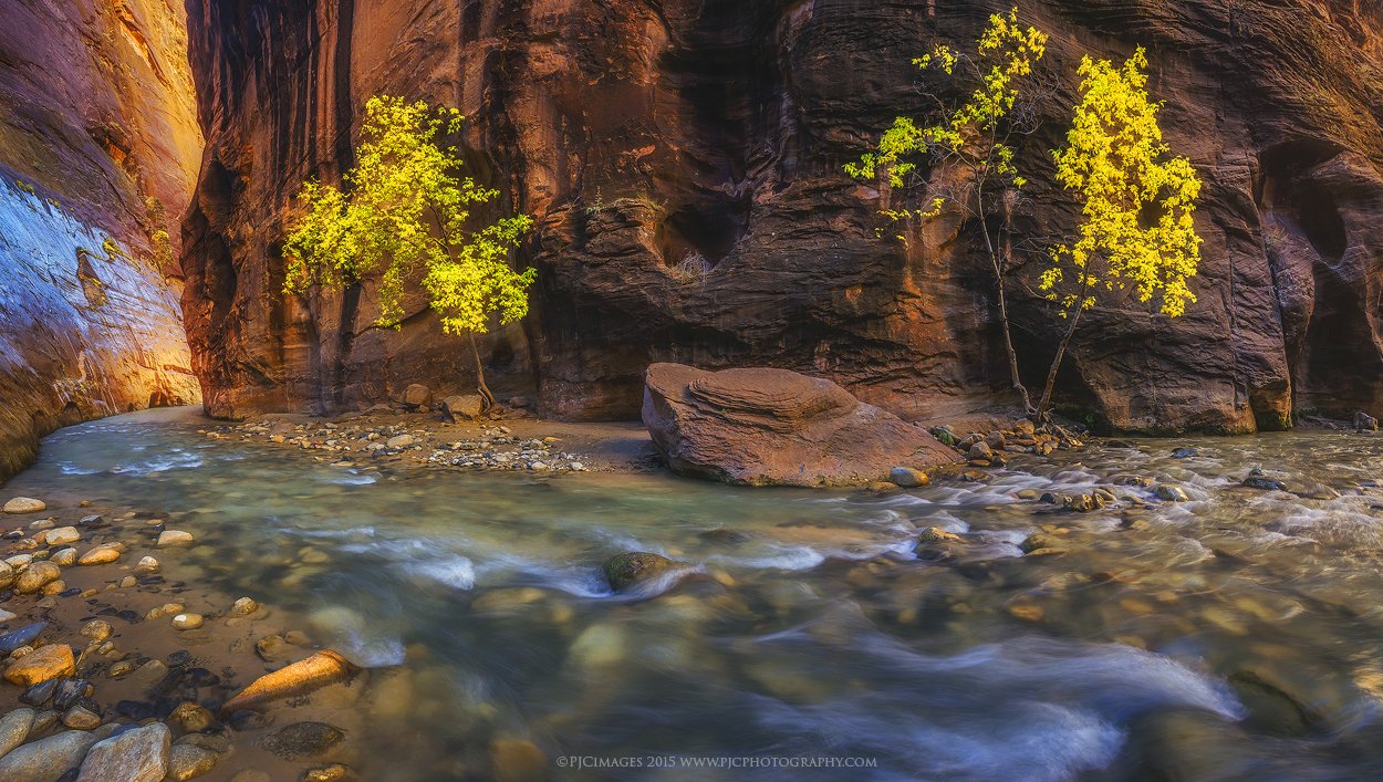 单反相机光学取景和实时取景,相机闪光灯下怎么实时取景