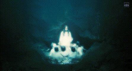 一部被严重低估的港式悬疑惊悚片,评分最高的10部惊悚片