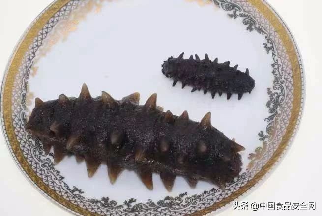 给父母买海参有必要吗,海参给父母孩子吃