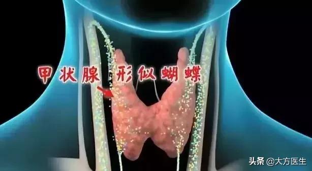 甲状腺疾病是碘不够还是摄入过量,甲状腺疾病的高发与加碘盐有关吗