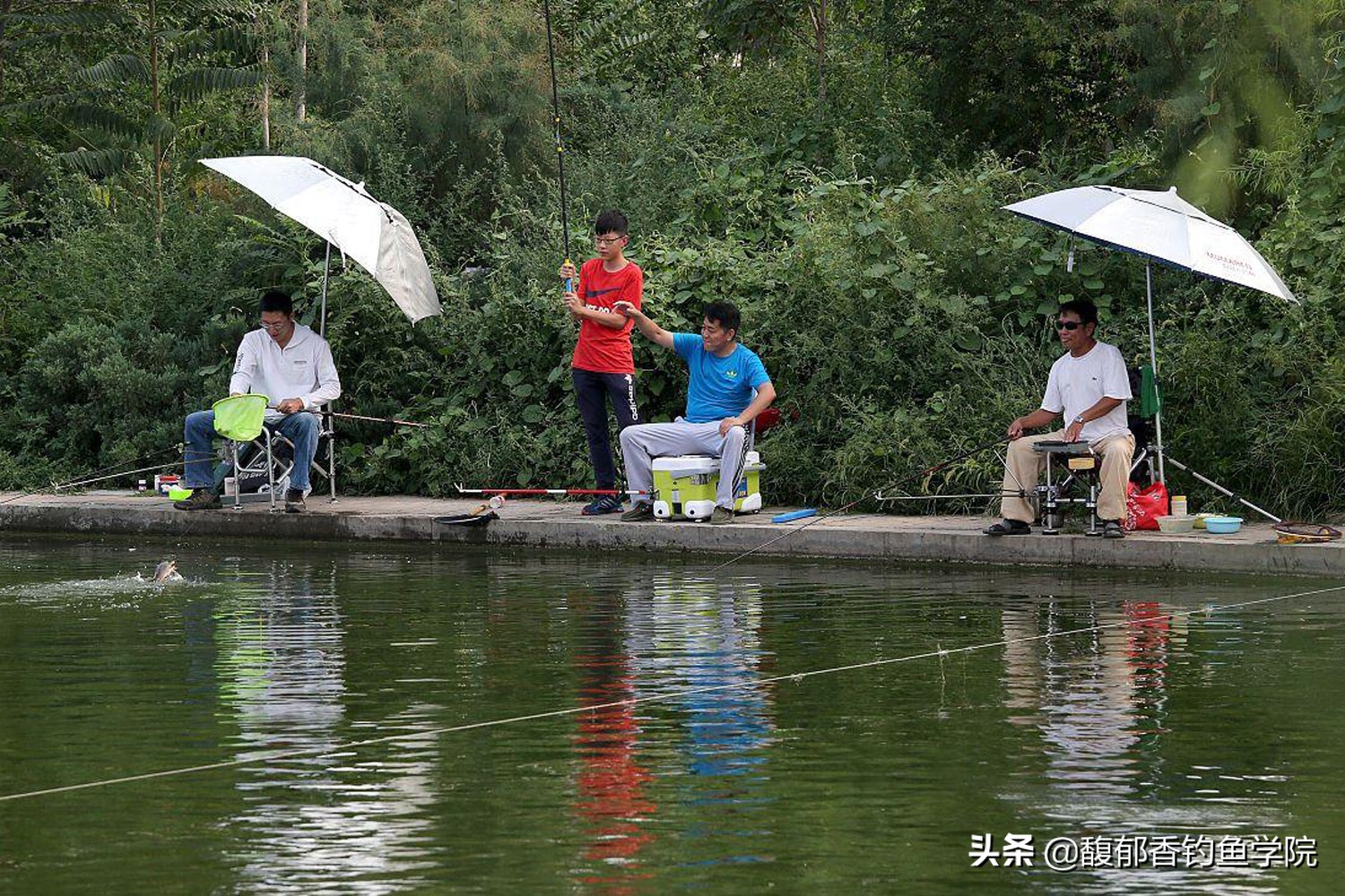 把四种钓鱼小药搭配使用，才能让鱼饵诱鱼快、鱼口好、留鱼久