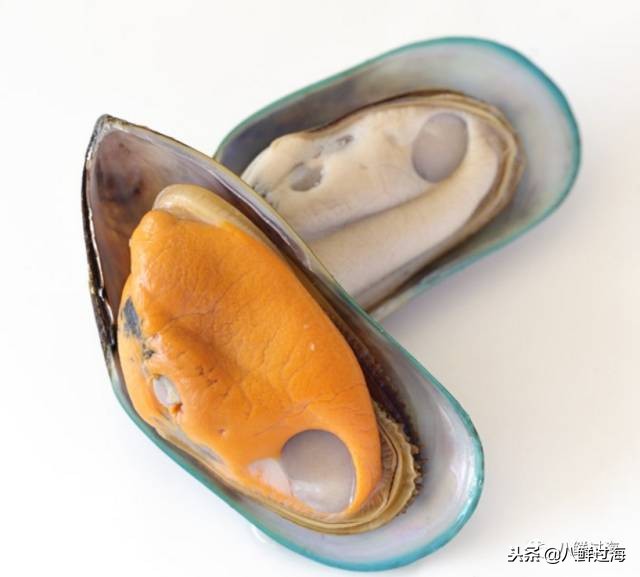 引入活青口贝、鲜帝王鲑,新西兰海产出口商的新生力量!