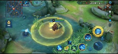 王者荣耀庄周技能全解析,王者荣耀庄周的群体解控