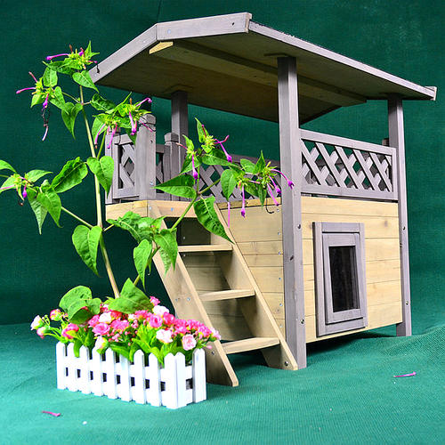 猫最好用什么猫窝,各种猫窝的视频大全