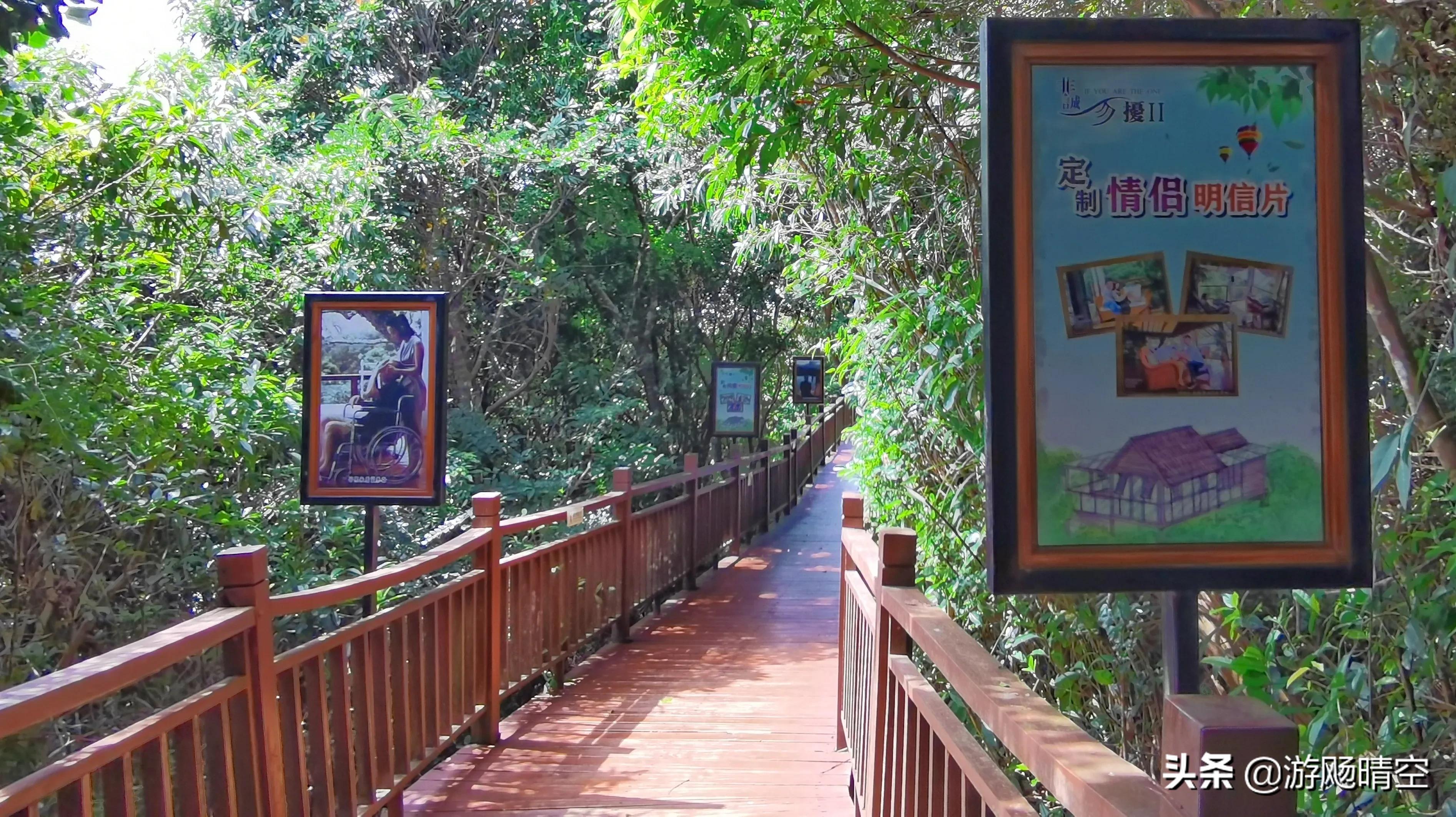 海南三亚五日自驾游掠影,海南三亚旅游双飞七日游