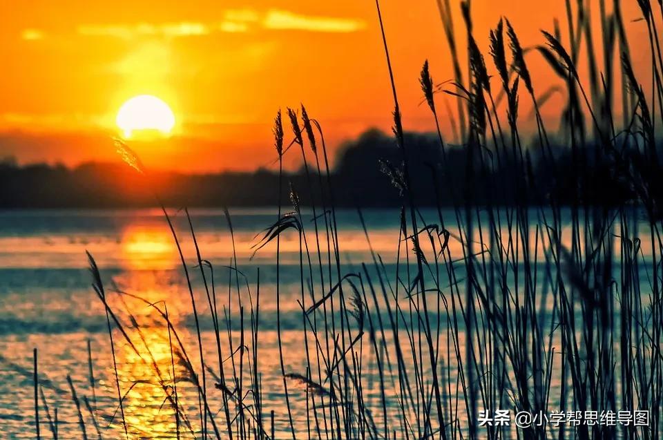 我最喜欢的一篇文章600字作文,我最喜欢的习作怎么写