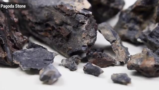 莫斯树到底好不好,莫斯树是什么