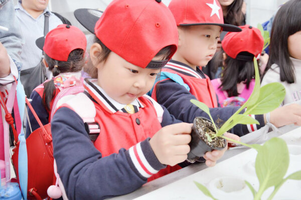 幼师培训课题研讨简报,浅谈城乡幼教交流