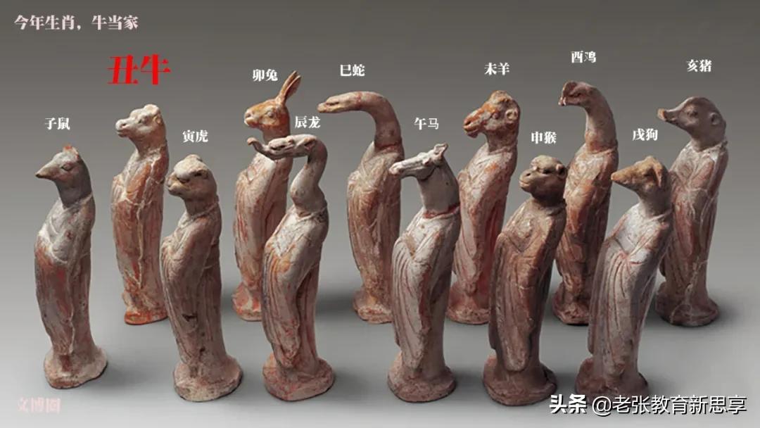 涨知识生肖,牛年感悟牛文化