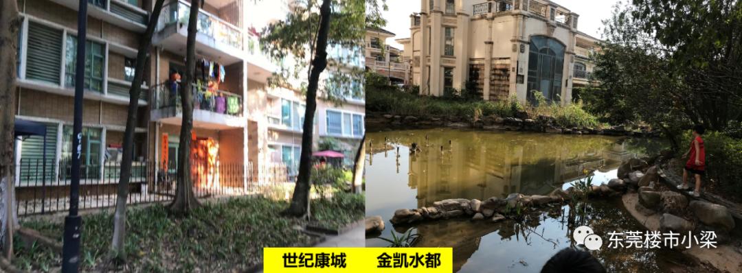 碧桂园常平玫瑰臻园别墅,东莞常平碧桂园玫瑰臻园