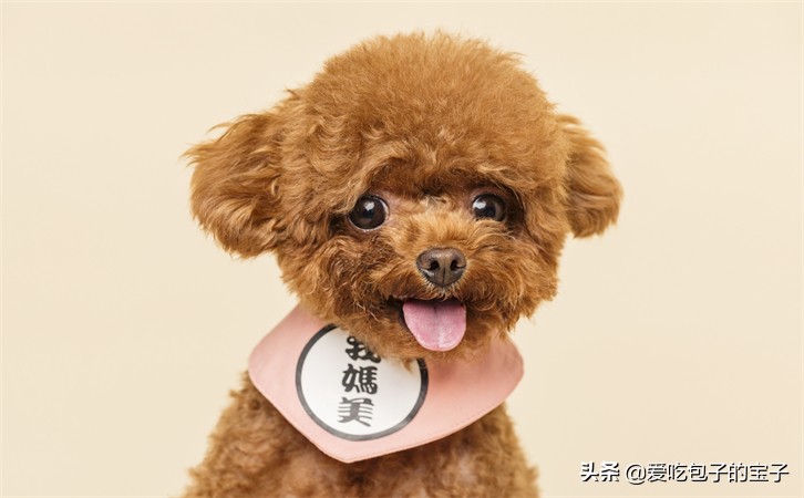 禧月荟月子罗湖,禧月荟月子中心产后康复