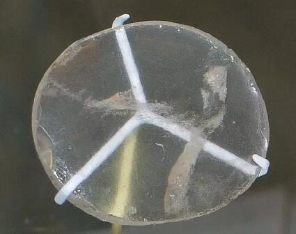 1300年后关于眼镜的历史,眼镜的进化史可以提出哪些问题