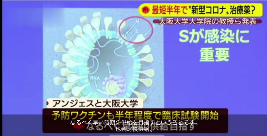 新冠最新单抗药,日本新冠药