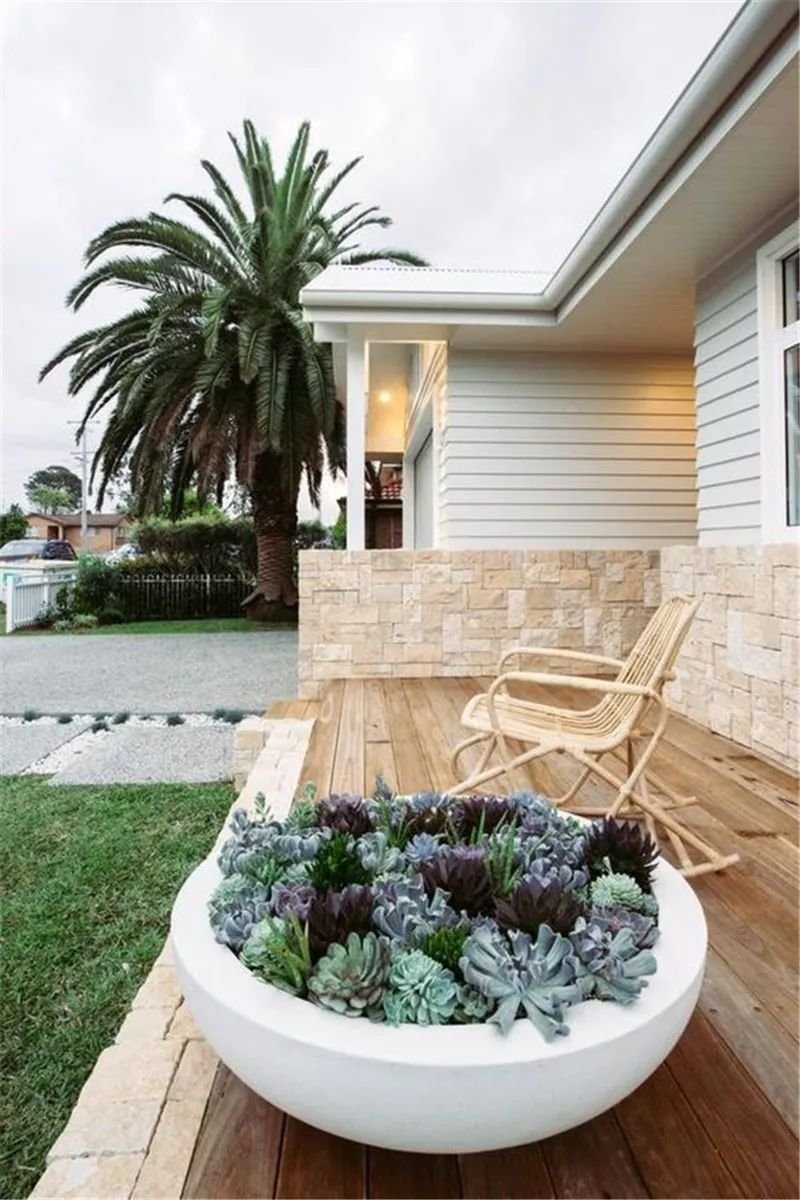 老外的多肉盆景惊艳了世界,多肉庭院美极了