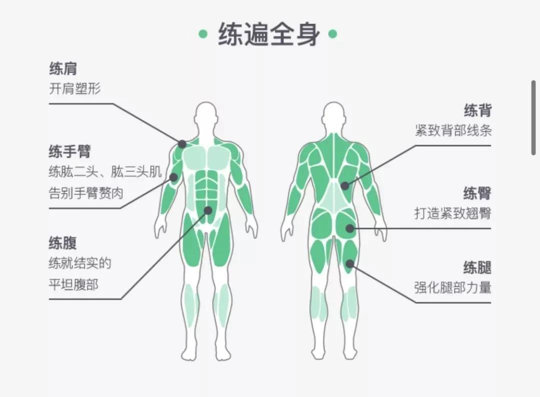 无器械居家健身,各类健身器械的使用方法